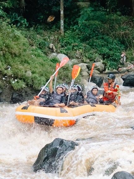 Rafters raising their paddles in white water, the guide steering at the back